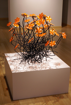 Rhizome